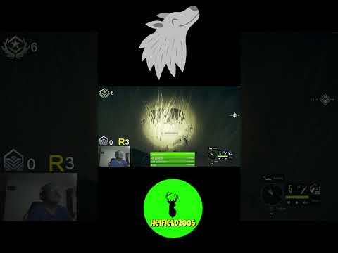 ذئب رمادي غامق