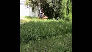 Mowing Tall St Augustine Grass by Something 2LookAt 1,758 views 2 months ago 3 minutes, 21 seconds