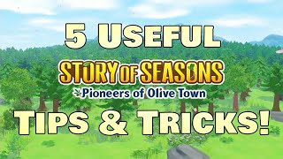 5 Useful Tips & Tricks to know in Story of Seasons Pioneers of Olive Town!