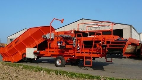 Potato hopper DOWNS - Mobile grader with bunker, cleaning unit, inspection table for potatoes