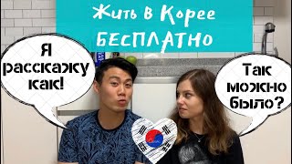 В Корее Можно Жить Бесплатно! Расскажем как.