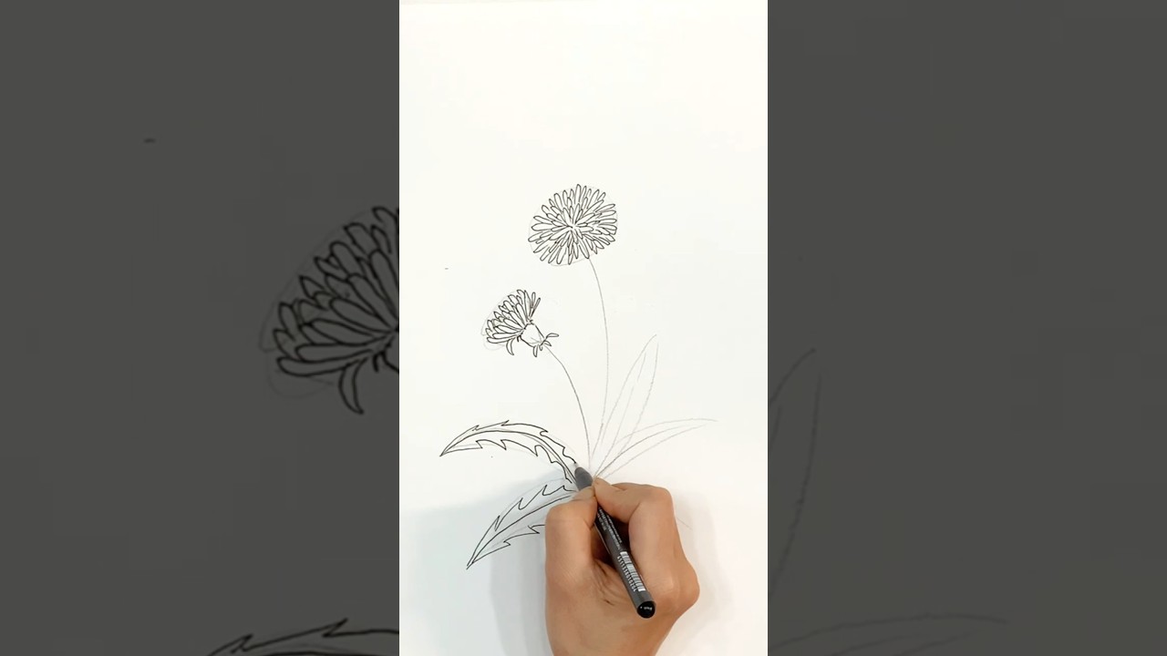 쉽게 민들레 그리기 /dandelion drawing #pendrawing #flowerdrawing #꽃그리기 - YouTube, image size:1280x720