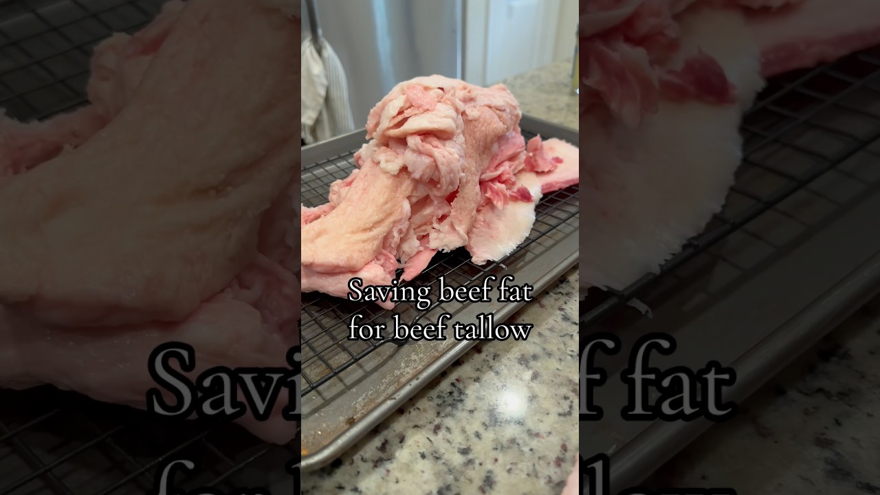Watch Saving beef scraps! Posting a full video Friday! #beeftallow #mealprep #weightloss #homemadefood on YouTube Watch Saving beef scraps! Posting a full video Friday! #beeftallow #mealprep #weightloss #homemadefood on YouTube