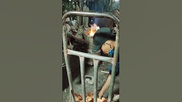 Cách nấu đồng đúc tượng #dothocungbangdong #phongthuy