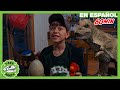 Viaje a la cabaña y los huevos de dinosaurios 🥚🦖 | Videos de dinosaurios y juguetes para niños