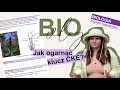 BIOvlog#1 - Zadania maturalne o roślinach i omawianie klucza CKE - biologia do matury