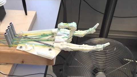 Adventures in Brain-Machine Interfaces