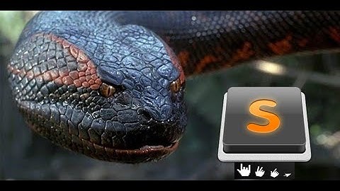 Sublime Text 3 + пакет Anaconda в LinuxMint20 ( установка настройка тестирование )