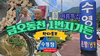 여름 피서지 추천! 여기는 꼭 가 보세요. 금오동천 1번지가든