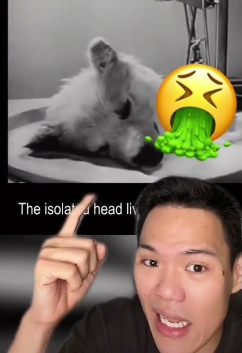 Eksperimen russia paling serem ‼️ Eksperimen kepala anjing 😱 #Shorts #YouTubeShorts