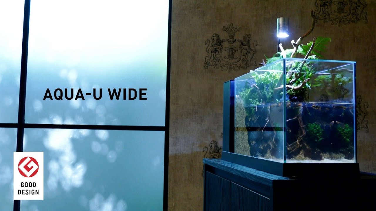 2021-107 GEX aquarista AQUA-U WIDE / 2021グッドアクアリウム 