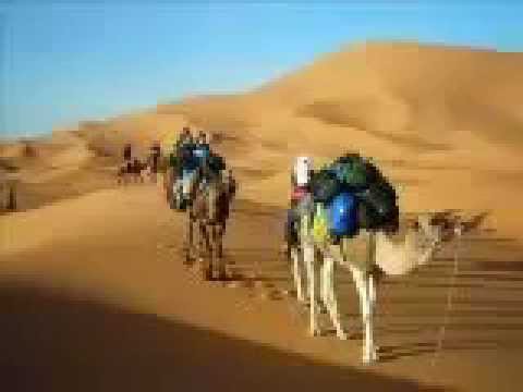 يا كتف يا مجروح