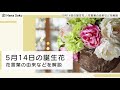 5月14日 誕生花