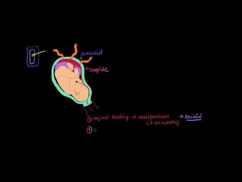 Лекции по акушерству и гинекологии. Отслойка плаценты.