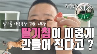 딸기칩이 이렇게 만들어진다고?│시골은 지금... ep.5