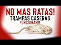 Dos TRAMPAS caseras para Ratas y Ratones ¡ACABA CON ELLAS!