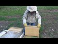 Ч - 2. Прививочный ящик - стартёр, для вывода пчелиных маток.