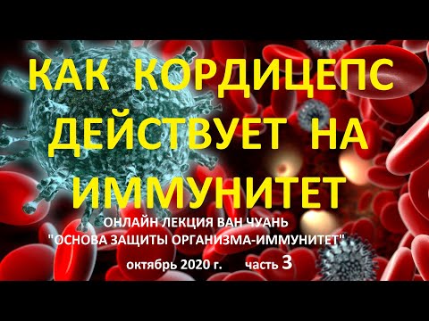 Видео: 3 прости начина за отглеждане на кордицепс