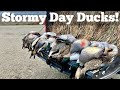 CA Duck Hunting | Stormy Day Ducks & Geese!