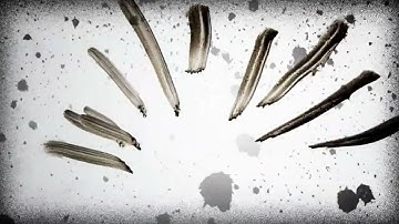 The String Game official music video