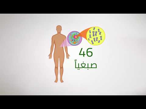 فيديو: هل يمكن علاج اختلال الصيغة الصبغية؟