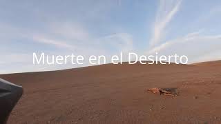 Muerte en el desierto