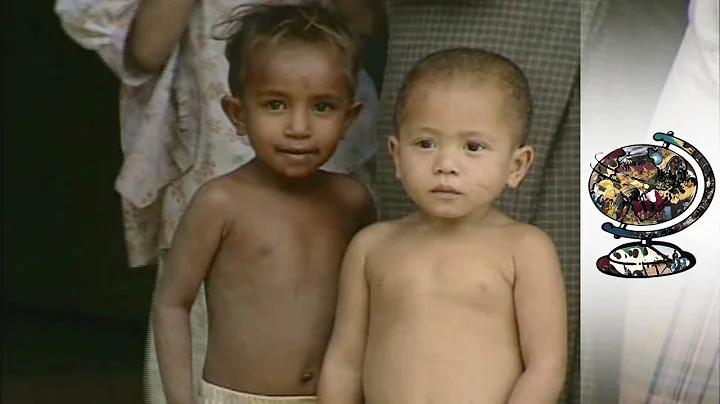 Teething Troubles in the New Nation of East Timor (2002)