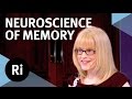 The Neuroscience of Memory - Eleanor Maguire