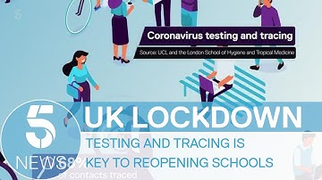 Coronavirus: testing and tracing key to schools returning, scientists say | 5 News