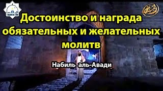 Достоинство и награда обязательных и желательных молитв. Набиль аль-Авади