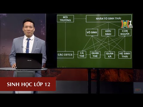 Video MÔN SINH HỌC - LỚP 12 | BÀI 36: QUẦN THỂ SINH VẬT |... - youtube