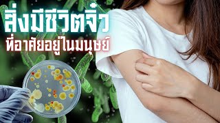 สิ่งมีชีวิตจิ๋วที่อาศัยอยู่ในมนุษย์