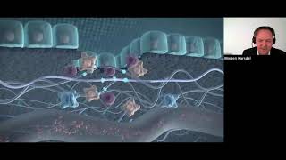 The Extracellular Matrix (ECM) | The Common Denominator In All Chronic Diseases