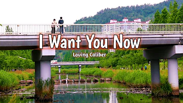 I Want You Now - Loving Caliber (video by Vincent channel) epidemicsound acoustic , epidemic pop