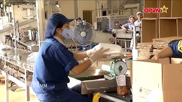 Lãnh đạo Bộ Quốc phòng thăm, kiểm tra tại Nhà máy Z131