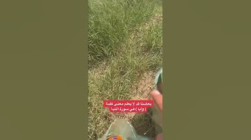 بعضنا ‏قد لا يعلم معنى كلمة ( وأبا ) في سورة عبس