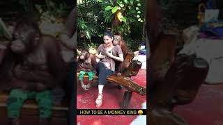 Flirting Monkey At Zoo