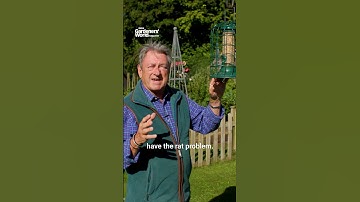 How to keep RATS off your bird feeders