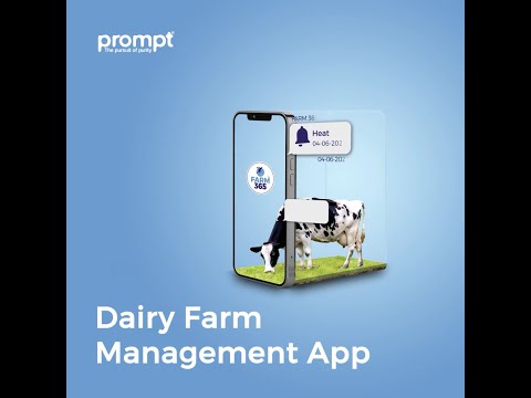 Farm365 Dairy Farm