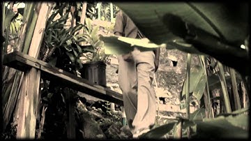 Jah9 - New Name (Official Music Video)