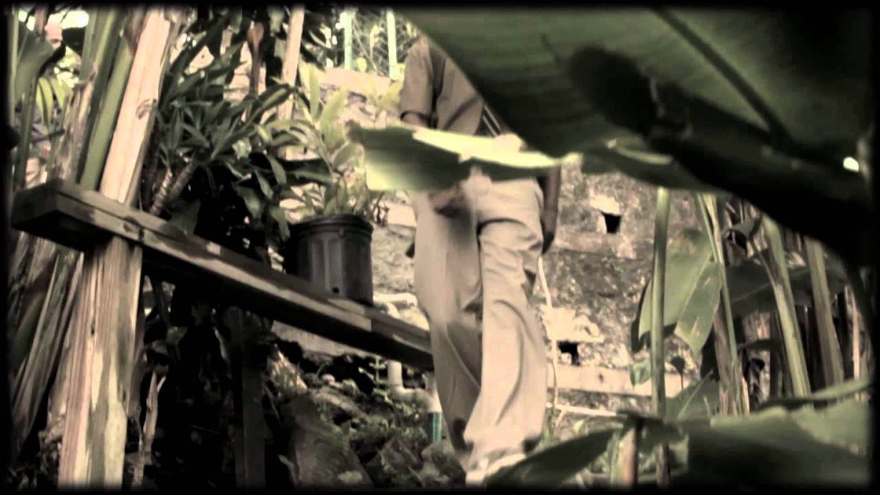 Ver Jah9 - New Name (Official Music Video) en YouTube Ver Jah9 - New Name (Official Music Video) en YouTube