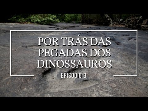 Vídeo: Por Que Pegadas De Dinossauros São Deixadas Na Rocha - Visão Alternativa