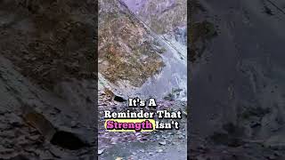 Denzel Washington Powerful True Words #motivation #shorts #motiationalspeech #ytshorts