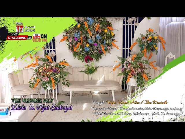 Wedding Elisia u0026 Ajat Sudrajat Desa Bangkaloa ilir blok Dermaga malang Kec. Widasari - Indramayu class=
