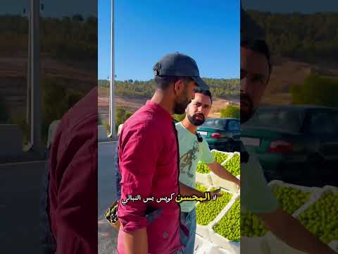 أسماء غريبة عن الزيتون اللذيذ في الأردن