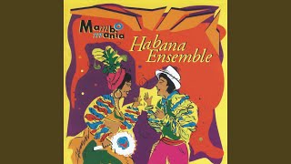 Mambo # 8
