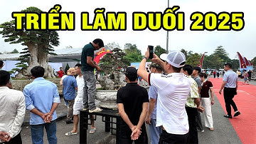 Khai Mạc Triển Lãm Duối Việt Nam 2025, Rất Nhiều Cây Duối Xuất Sắc 3 Miền Tụ Hợp Về Bắc Ninh