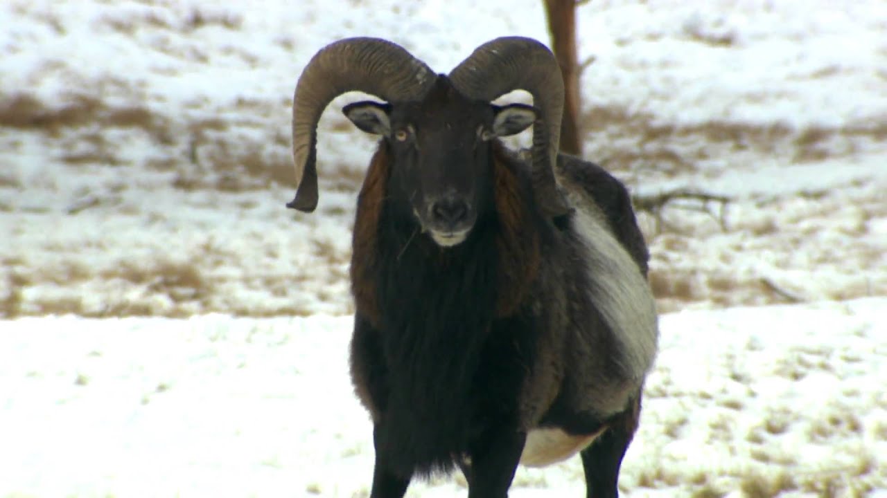 Jagtmagasinet på Røgegaard