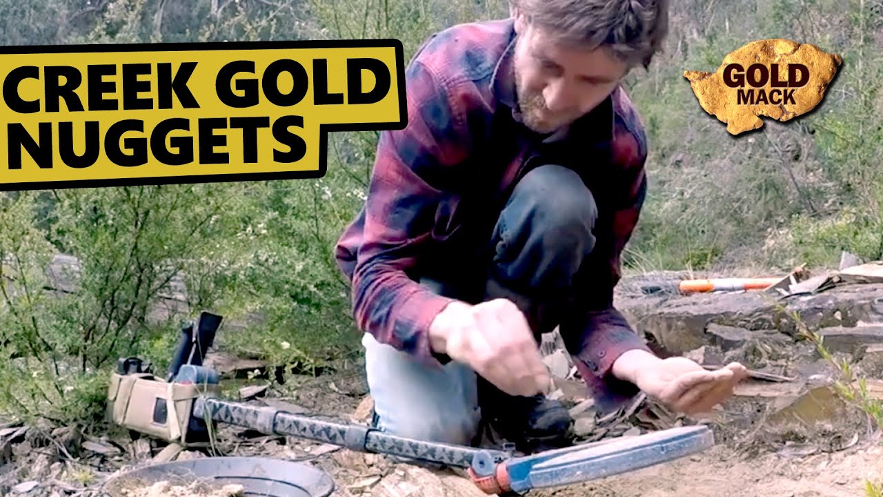 Creek Gold Nuggets Found Using the SDC 2300 Metal Detector YouTube