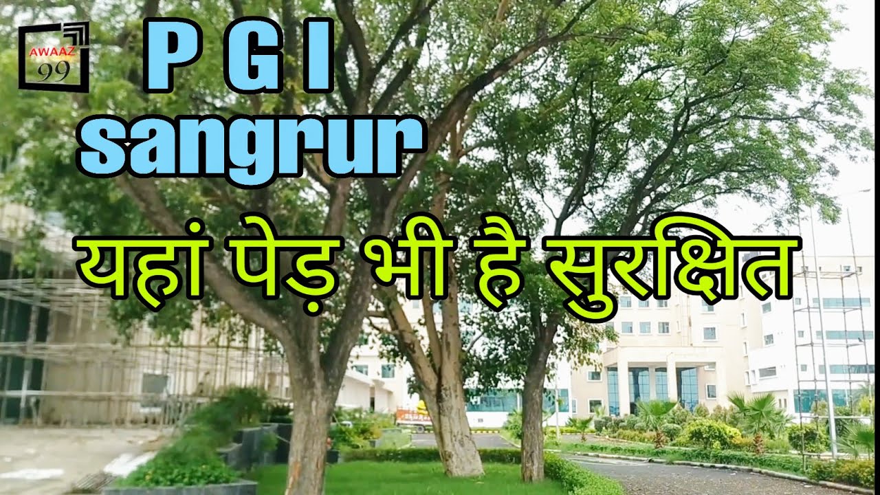 PGI sangrur / यहां पेड़ भी है सुरक्षित